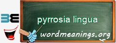 WordMeaning blackboard for pyrrosia lingua